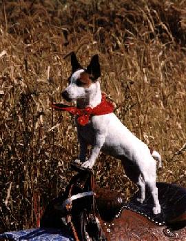 Bijou, 2003 Clyde Moore Hall of Fame