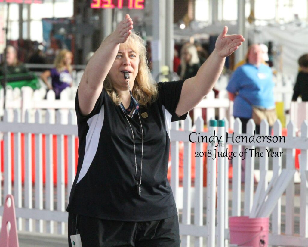 Cindy Henderson - 2018 Judge of the Year