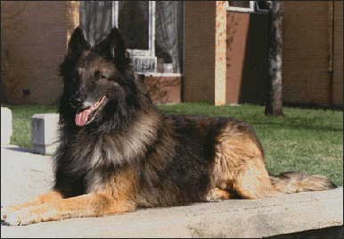 Cisco, 1986 Clyde Moore Hall of Fame