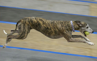 Lyric, 2007 Clyde Moore Hall of Fame