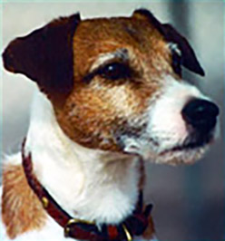 Higgins, 2002 Clyde Moore Hall of Fame