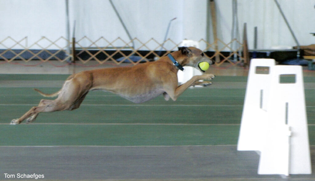 Merlin - 2003 Clyde Moore Hall of Fame