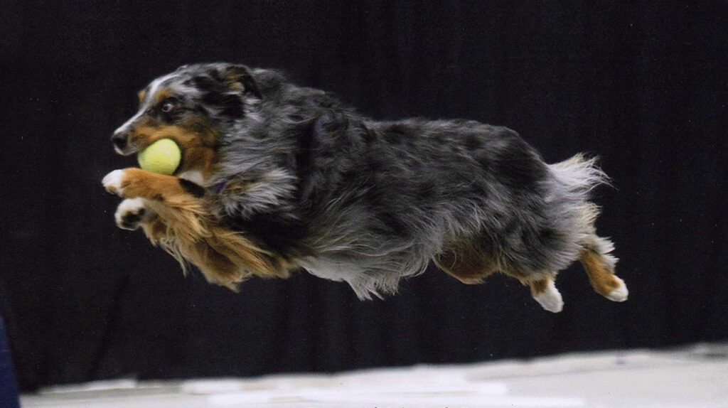 Rukus, 2015 Clyde Moore Hall of Fame