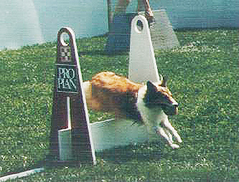 Shawna, 1997 Clyde Moore Hall of Fame