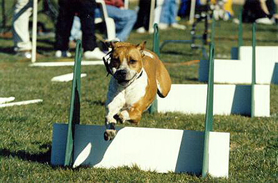 Speedy, 1998 Clyde Moore Hall of Fame