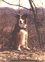 Wyn, 2000 Clyde Moore Hall of Fame