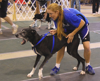 Morgan, 2009 Clyde Moore Hall of Fame